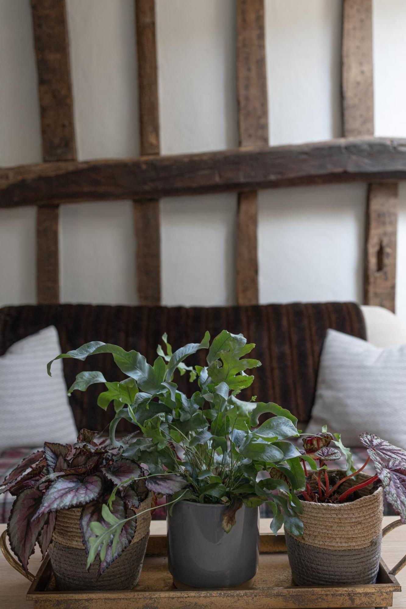 Saltmarsh Farmhouse Westdean Exterior foto